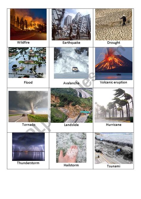 disasters frequently result in all of the following except|diasaster Flashcards .